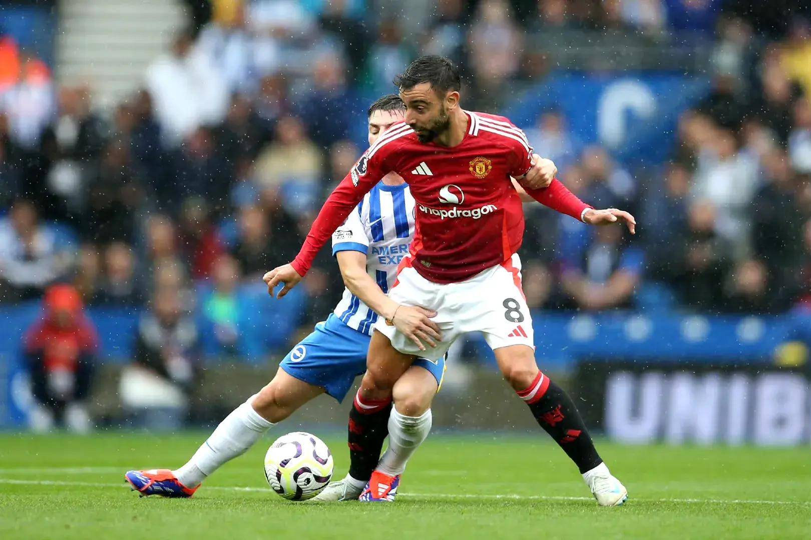 秋的故事 秋的故事